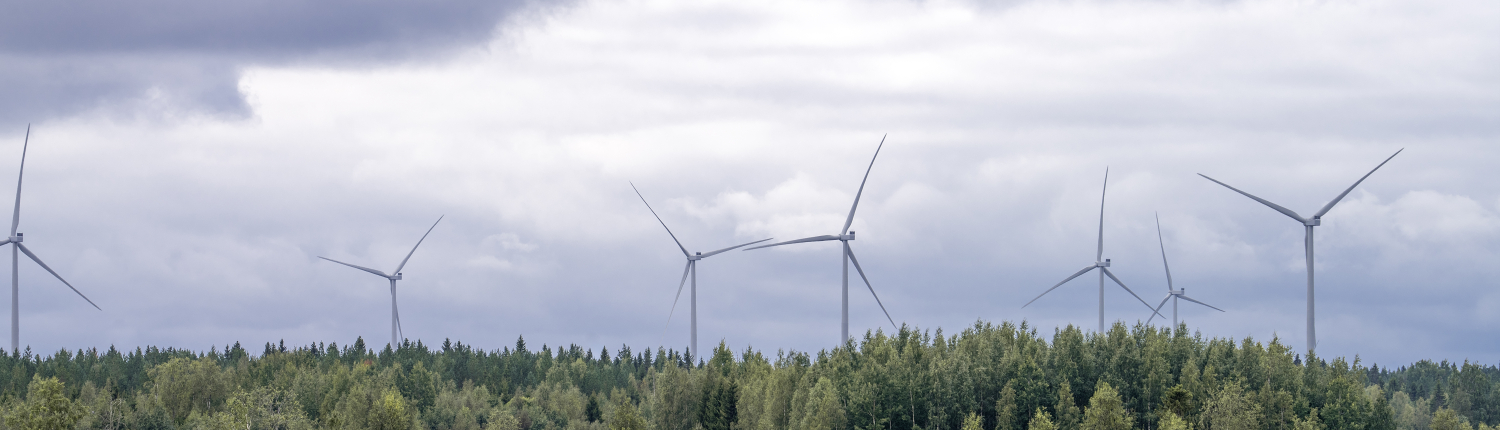 1105-nzeljpKp-vastavalo-1034177